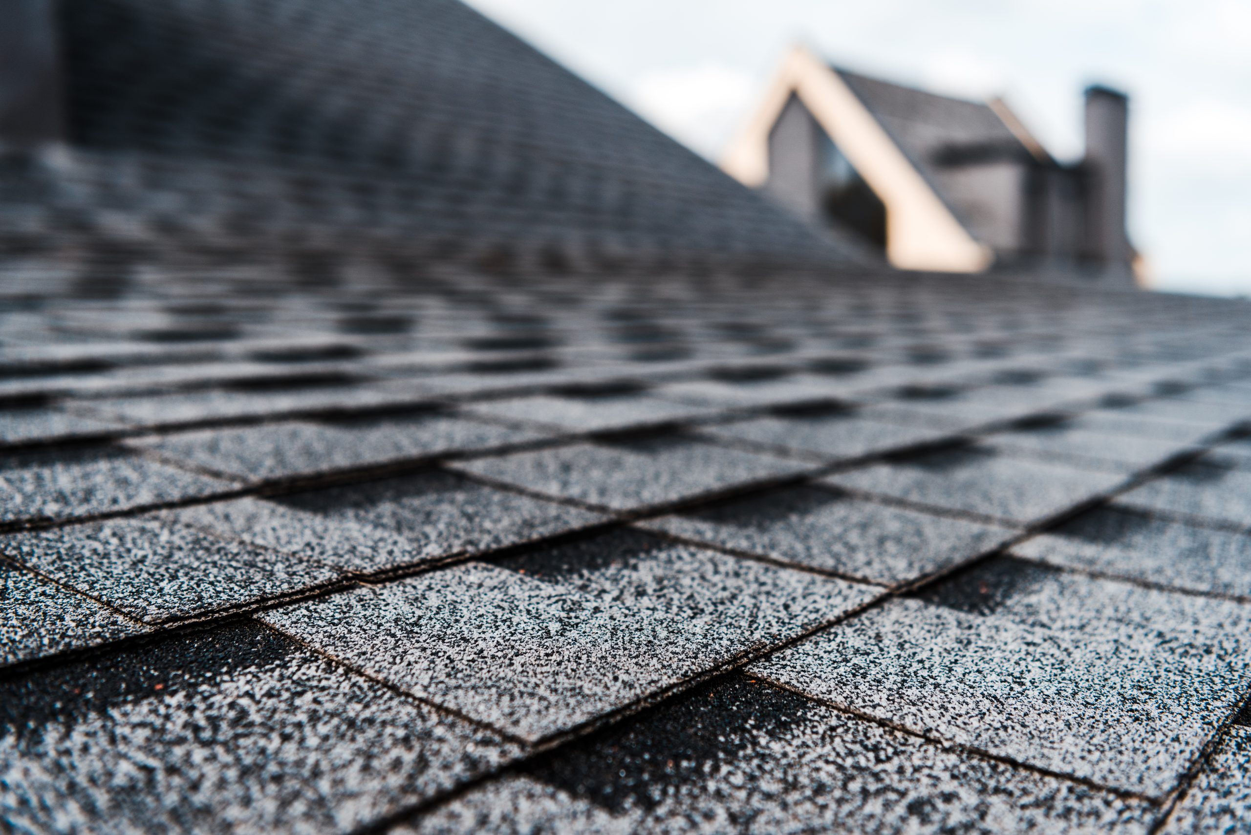 Shingle Roof
